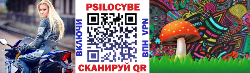 omg ONION  Алексеевка  Псилоцибиновые грибы Cubensis 